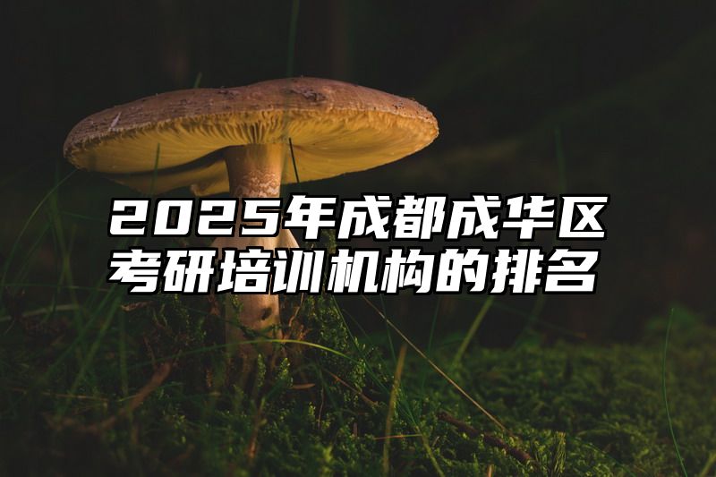 2025年成都成华区考研培训机构的排名