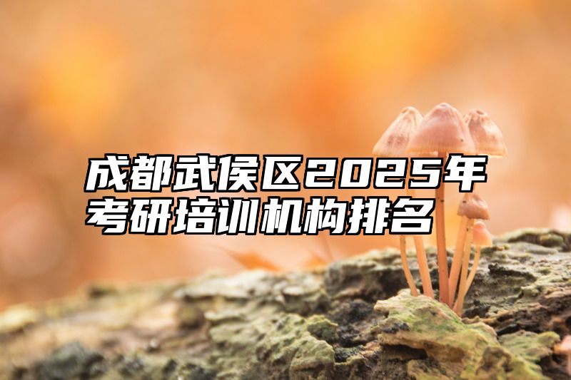 成都武侯区2025年考研培训机构排名