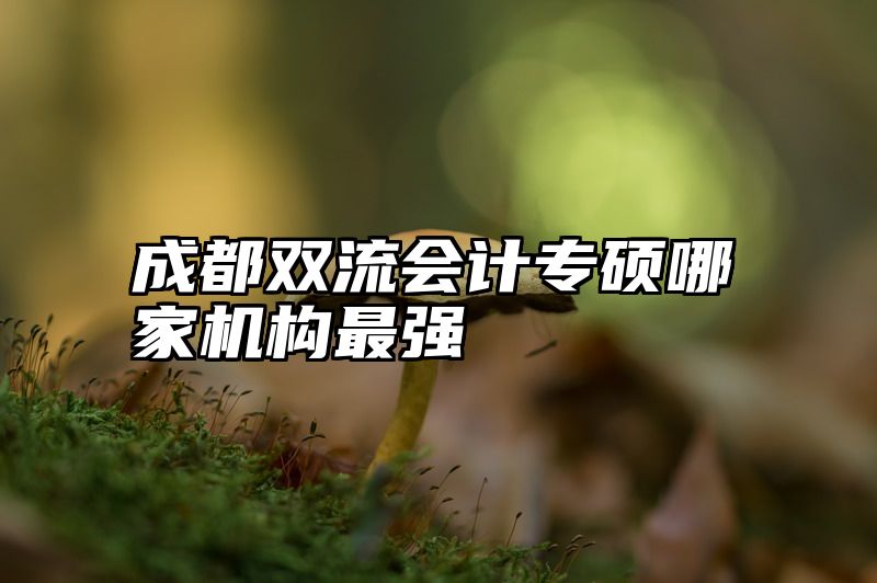 成都双流会计专硕哪家机构最强