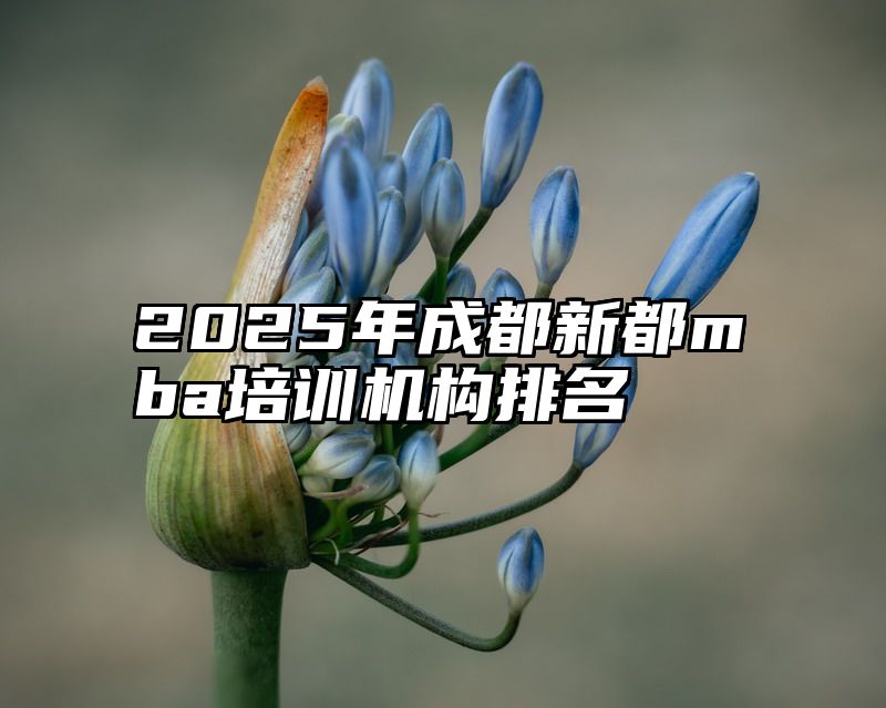 2025年成都新都mba培训机构排名