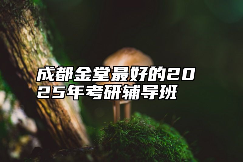 成都金堂最好的2025年考研辅导班