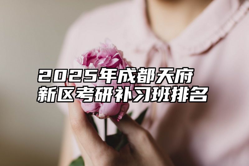 2025年成都天府新区考研补习班排名