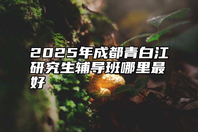 2025年成都青白江研究生辅导班哪里最好