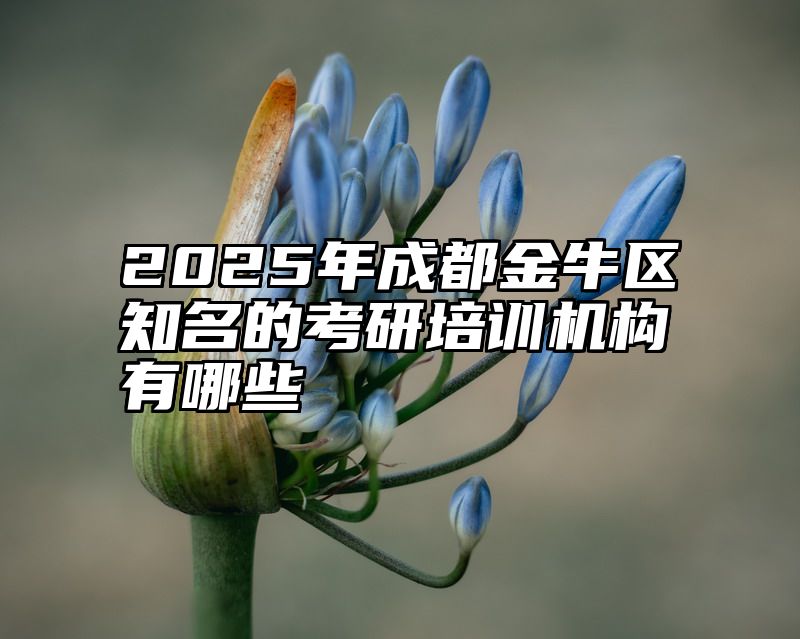 2025年成都金牛区知名的考研培训机构有哪些