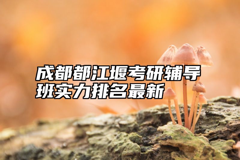 成都都江堰考研辅导班实力排名最新