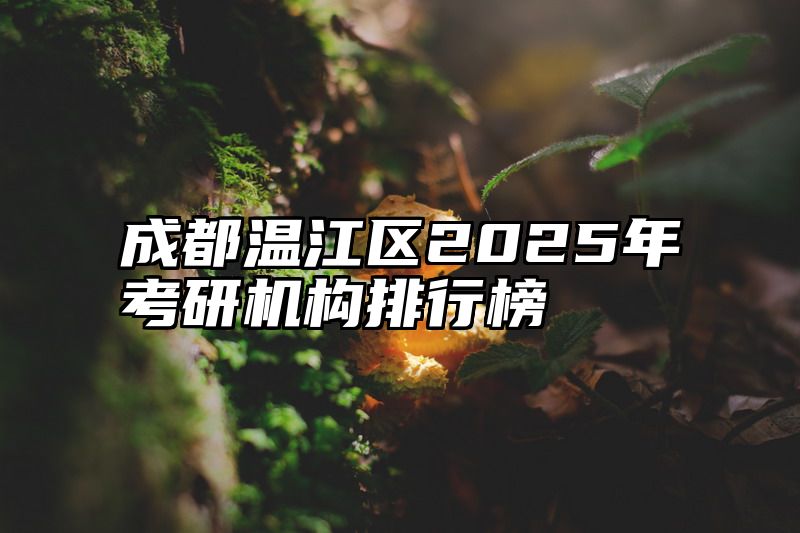 成都温江区2025年考研机构排行榜