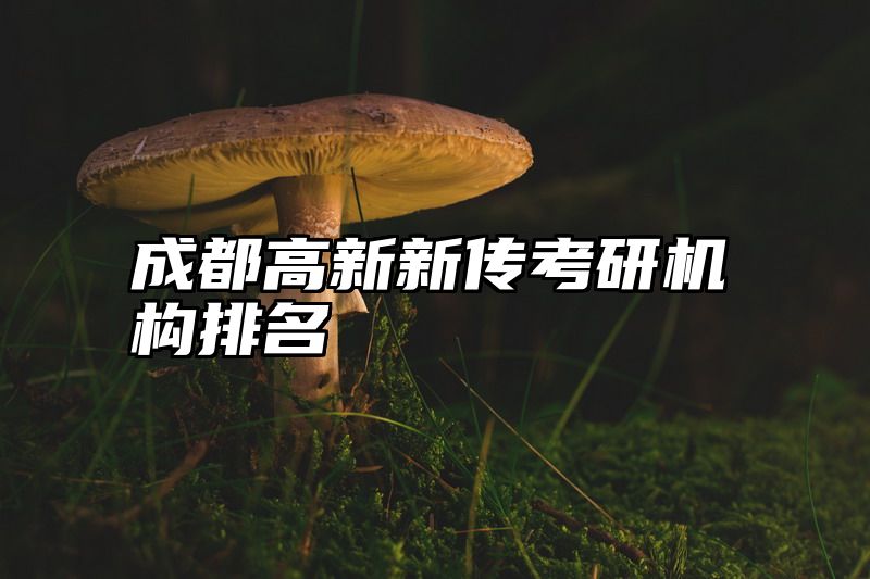 成都高新新传考研机构排名
