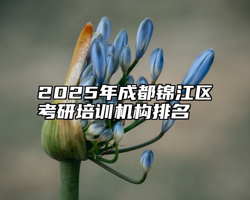 2025年成都锦江区考研培训机构排名