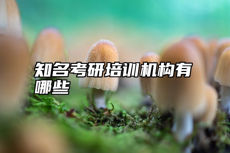 知名考研培训机构有哪些