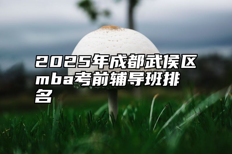点击查看《2025年成都武侯区mba考前辅导班排名》全文