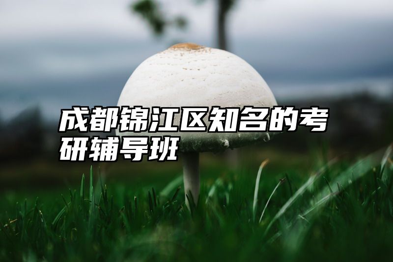 成都锦江区知名的考研辅导班