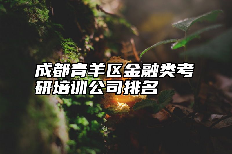 成都青羊区金融类考研培训公司排名
