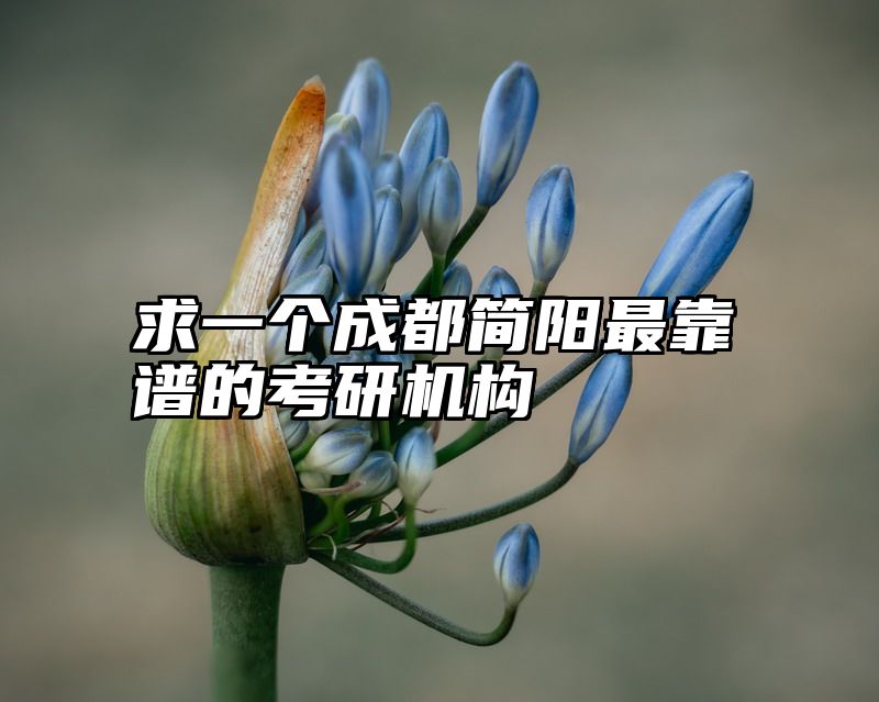 求一个成都简阳最靠谱的考研机构