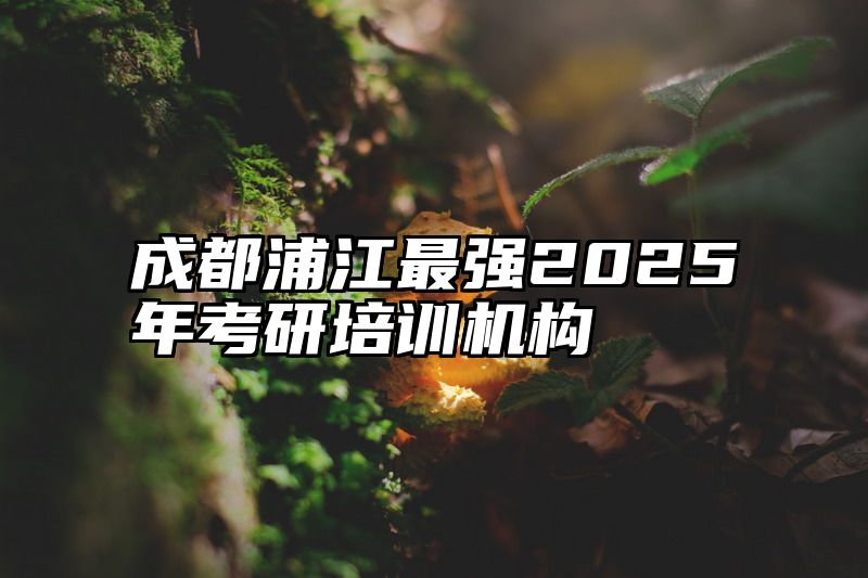 成都浦江最强2025年考研培训机构