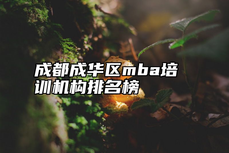 成都成华区mba培训机构排名榜