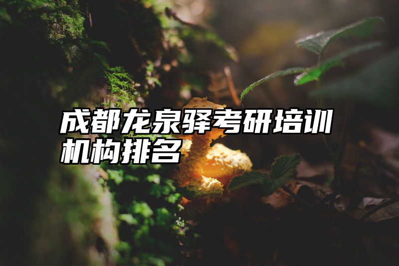 成都龙泉驿考研培训机构排名