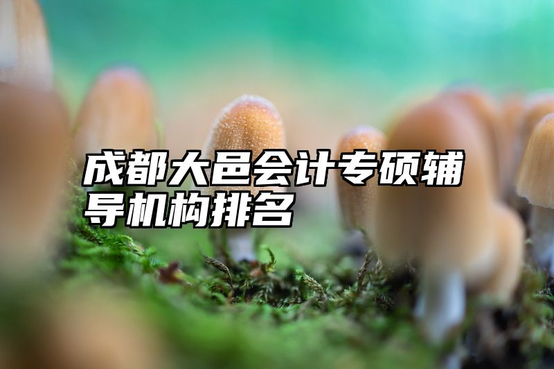 成都大邑会计专硕辅导机构排名