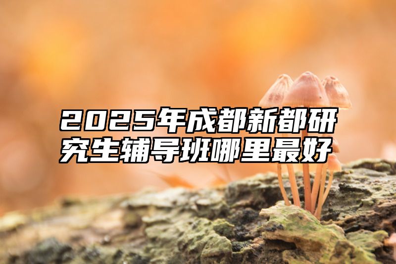 点击查看《2025年成都新都研究生辅导班哪里最好》全文