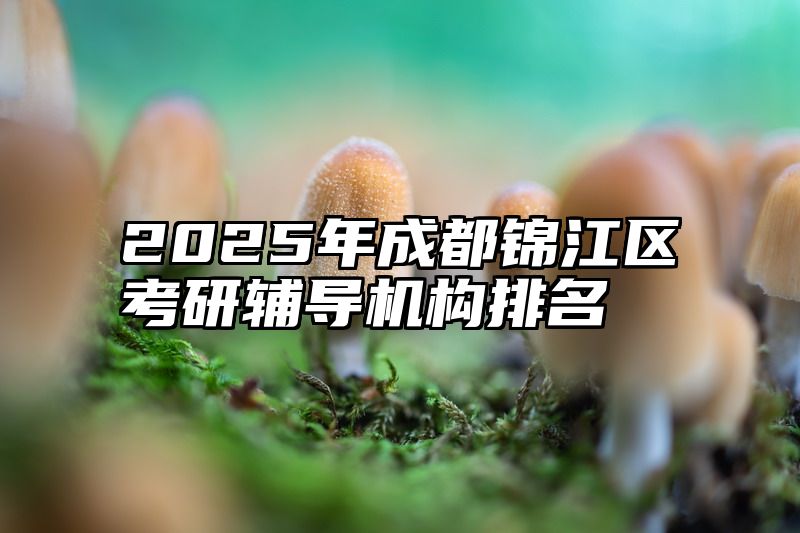 2025年成都锦江区考研辅导机构排名
