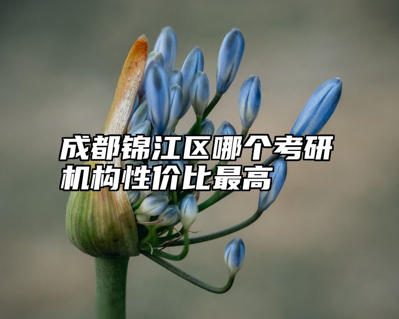 成都锦江区哪个考研机构性价比最高