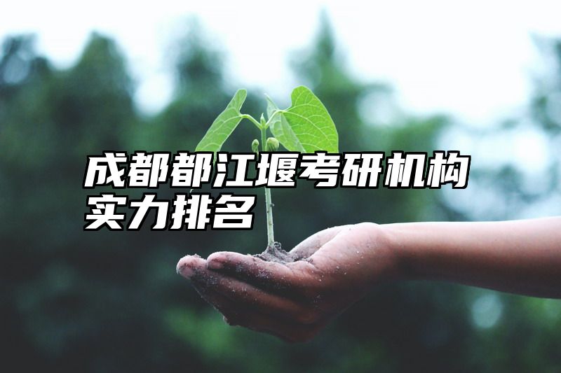 成都都江堰考研机构实力排名