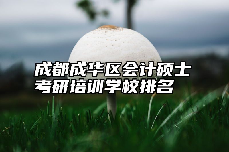 成都成华区会计硕士考研培训学校排名