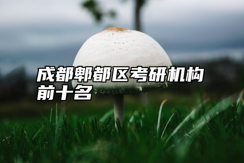 成都郫都区考研机构前十名
