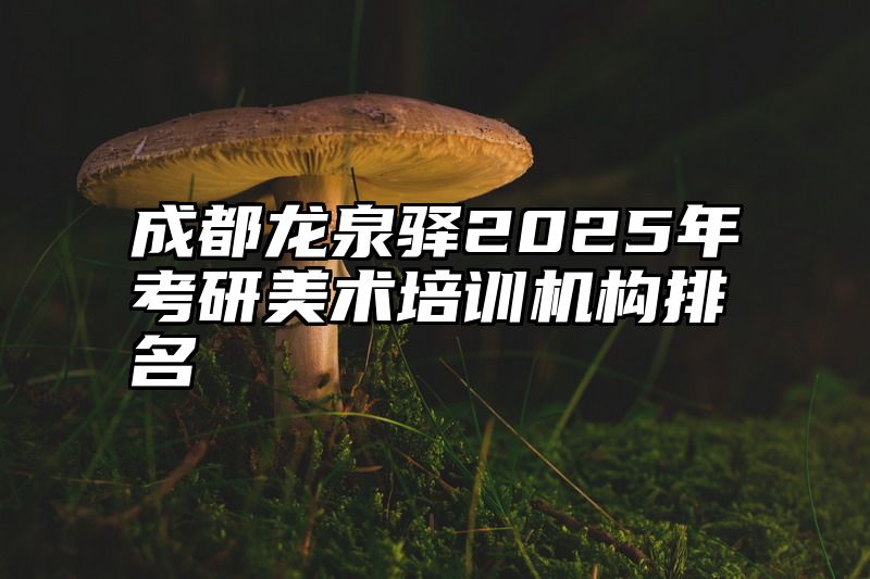 成都龙泉驿2025年考研美术培训机构排名