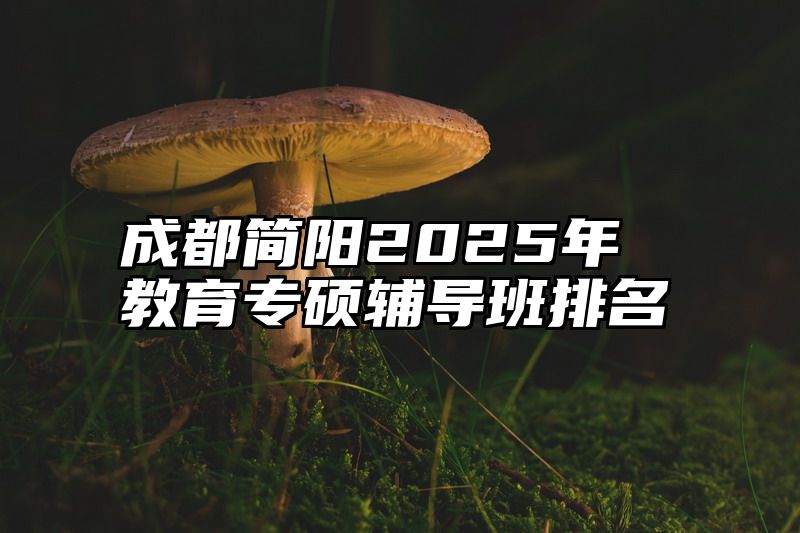 成都简阳2025年教育专硕辅导班排名
