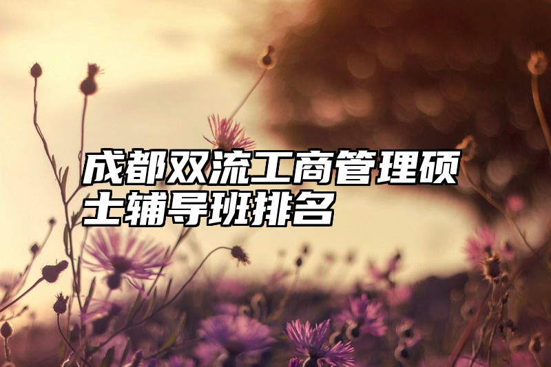 成都双流工商管理硕士辅导班排名