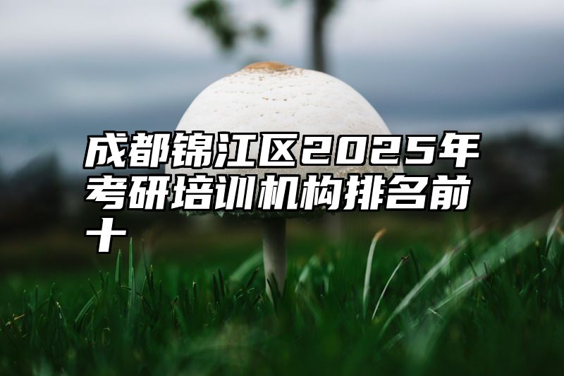 成都锦江区2025年考研培训机构排名前十