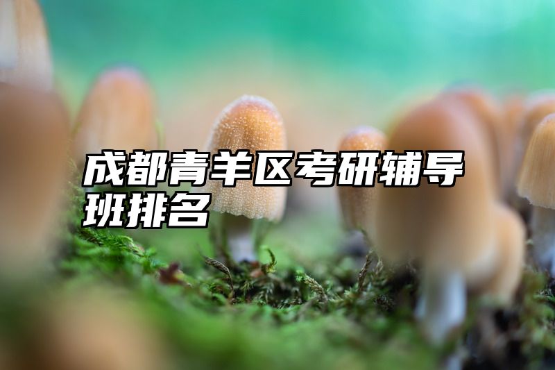 成都青羊区考研辅导班排名