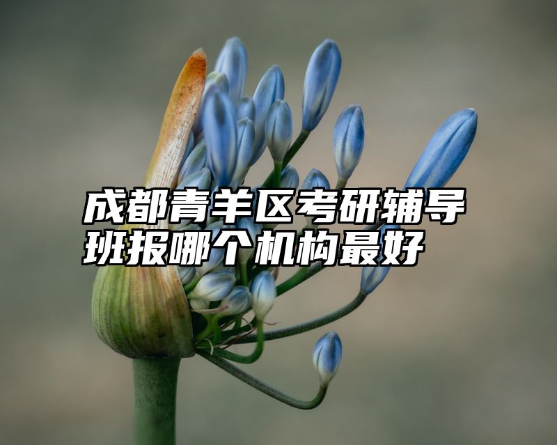 点击查看《成都青羊区考研辅导班报哪个机构最好》全文