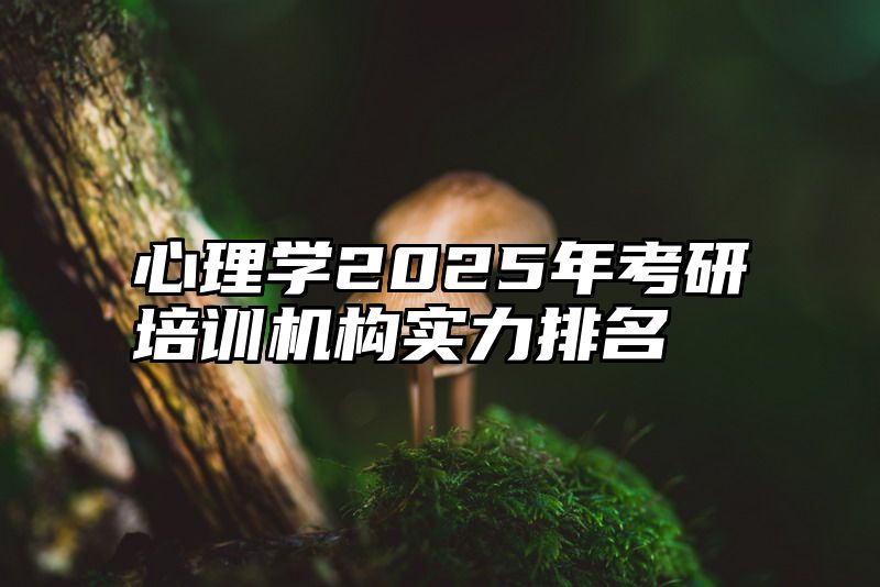心理学2025年考研培训机构实力排名