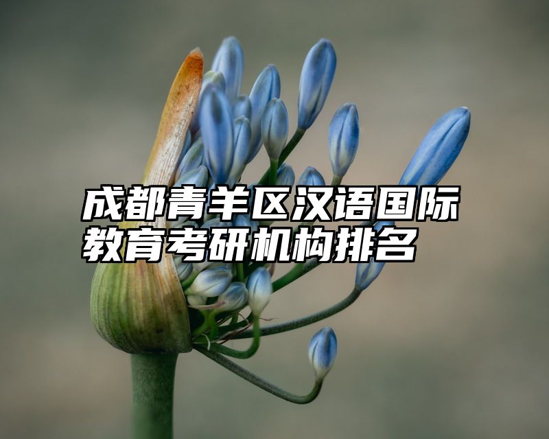 成都青羊区汉语国际教育考研机构排名