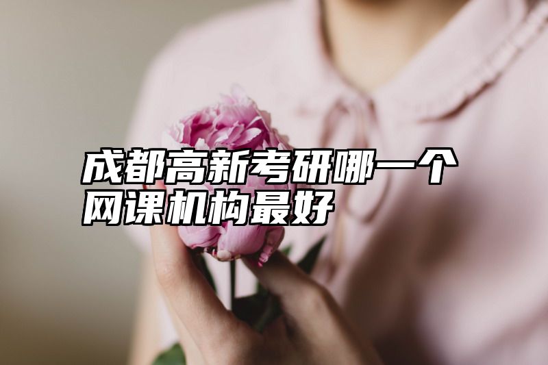 成都高新考研哪一个网课机构最好