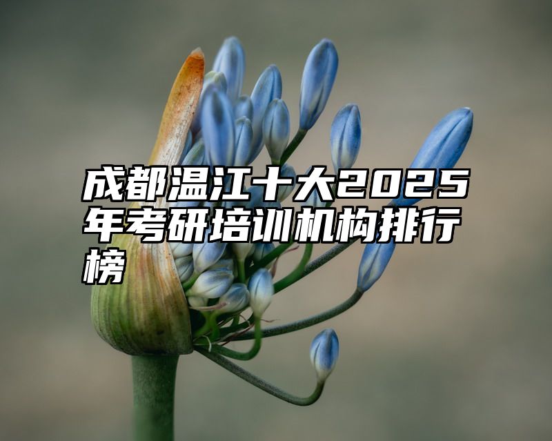 成都温江十大2025年考研培训机构排行榜