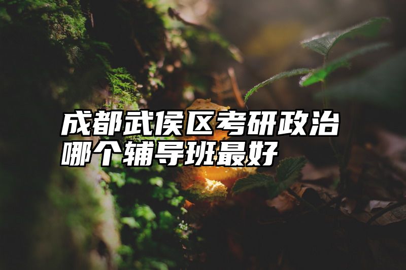 成都武侯区考研政治哪个辅导班最好