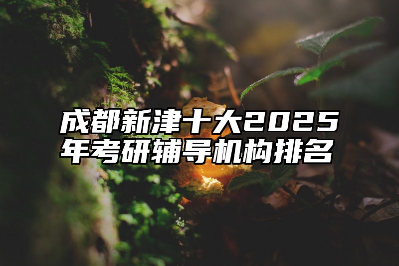 成都新津十大2025年考研辅导机构排名