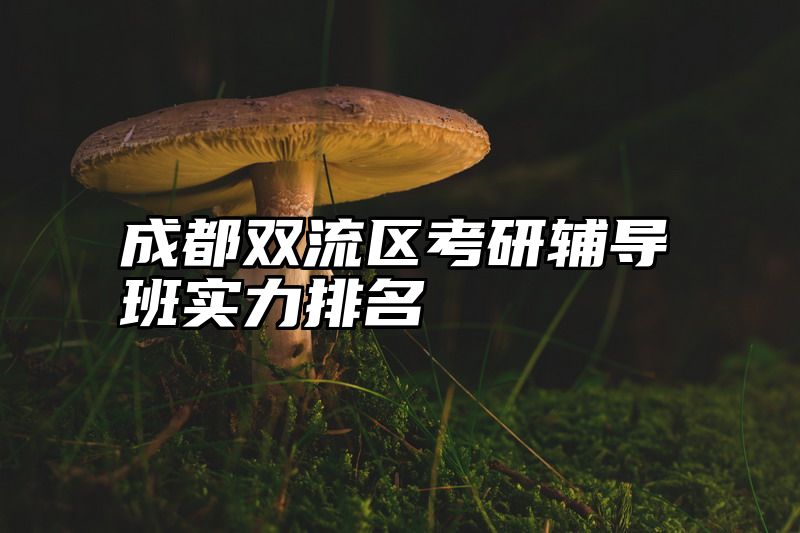 成都双流区考研辅导班实力排名