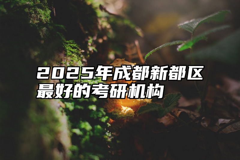 2025年成都新都区最好的考研机构