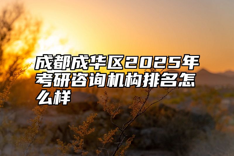 成都成华区2025年考研咨询机构排名怎么样