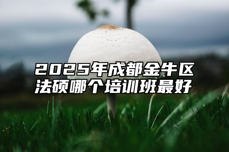 2025年成都金牛区法硕哪个培训班最好