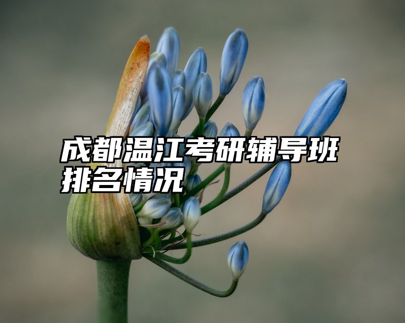 成都温江考研辅导班排名情况