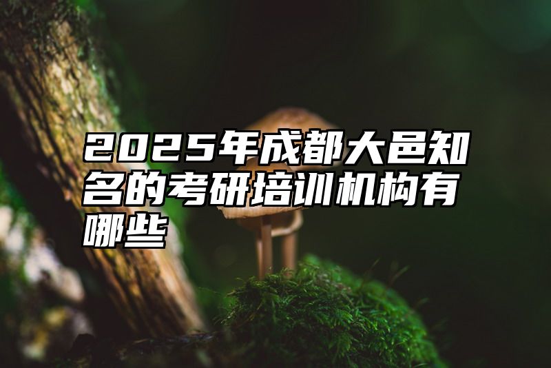 点击查看《2025年成都大邑知名的考研培训机构有哪些》全文