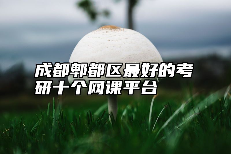 成都郫都区最好的考研十个网课平台
