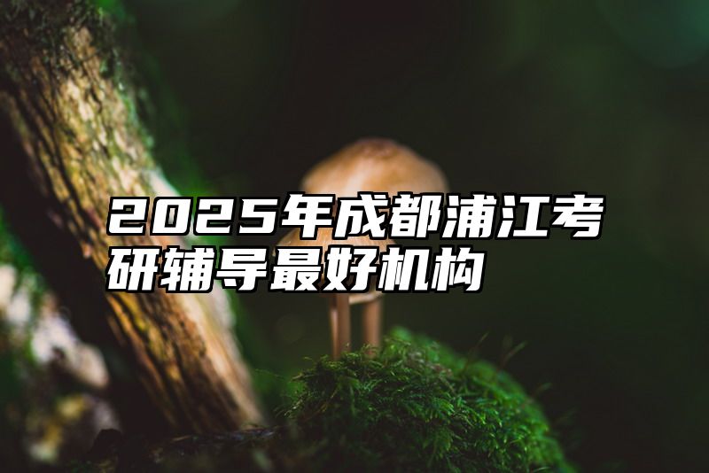2025年成都浦江考研辅导最好机构