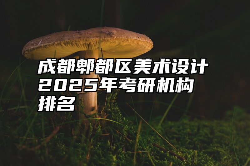 成都郫都区美术设计2025年考研机构排名