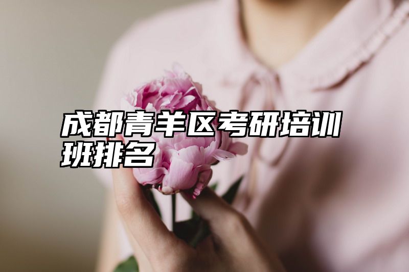 成都青羊区考研培训班排名