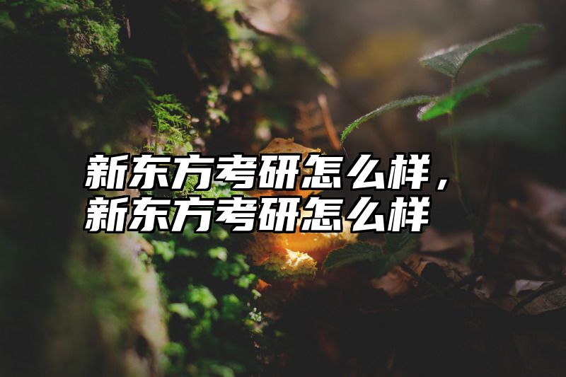 新东方考研怎么样，新东方考研怎么样